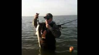 WADE Right and West Galveston Bay redfish [upl. by Icak]