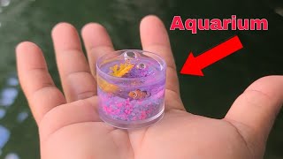 WORLDS SMALLEST Fish AQUARIUM [upl. by Damha866]