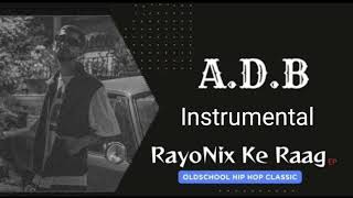 ADB  Instrumental  RayoNix ke Raag [upl. by Niwde]