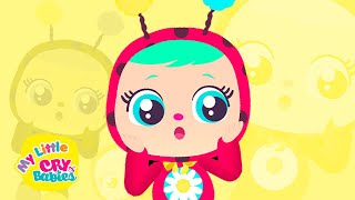 Surprise Surprise 😲 My Little CRY BABIES 👶🍼 Cry Babies Nursery Rhymes amp Kids Songs [upl. by Tucker152]