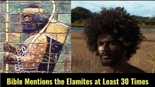 Shem amp The Elamites in the Bible  Sons of Shem Series [upl. by Cynthie]