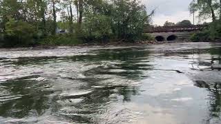 French Broad River in North Carolina [upl. by Anoet]