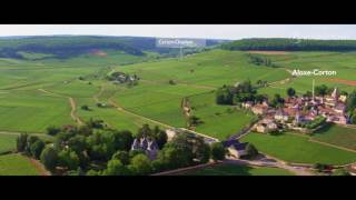 The vineyard of Bourgogne seen from the sky [upl. by Roer460]