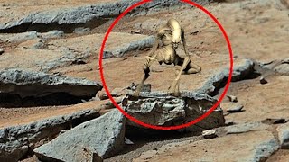 NASAs Mars Perseverance Rover Video  Mars New Video  Mars Rover  Mars 4k Panorama [upl. by Fezoj650]