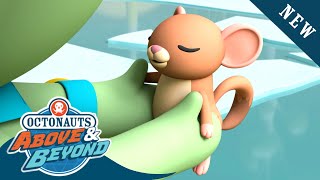 Octonauts Above amp Beyond  The Lost Dormice  Land Adventures  Octonauts [upl. by Lanahtan]