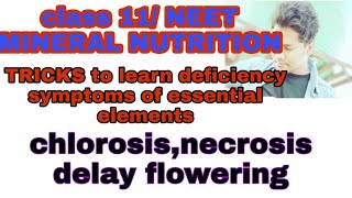 TRICKS to learn deficiency symptoms of essential elements chlorosis necrosisdelay floweringNEET [upl. by Mcnamee329]