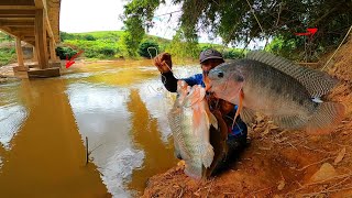 Debaixo dessa ponte do lado da moita de bambu gigante só tem monstra Pescaria [upl. by Bred]