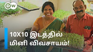 Microgreens வளர்ப்பில் மாதம் 50000 வரை சம்பாதிக்கும் சென்னை தம்பதி  DW Tamil [upl. by Reinhard]