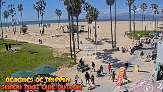 Venice Beach Webcam  Venice Beach Live Cam  venice beach live boardwalk cam [upl. by Aia445]