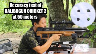 Accuracy test of KALIBRGUN CRICKET 2 at 50 metersTarget practice [upl. by Ettenowtna25]