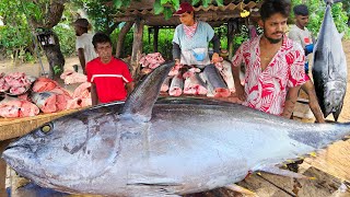 Wow Busiest Fishermans Village Road Fishmarket Island Of Hard Workers [upl. by Noach668]