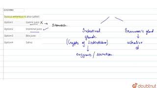 Succus entericus is also called   CLASS 12  DIGESTION AND ABSORPTION  BIOLOGY  Doubtnut [upl. by Evered]