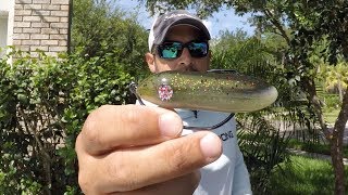 DOA PT7 Weedless Topwater Lure Review [upl. by Tegirb]