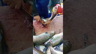 Filleting trout at a fish market fishcutting [upl. by Yanttirb]