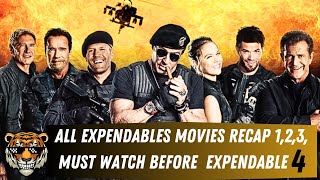 Complete Expendables movies recap in Hindi 123 MUST watch before Expendables 4 [upl. by Laura]