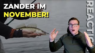 ZANDER angeln im November SO EINFACH [upl. by Starla]