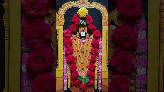 lord Venkateswara Swamy songs lordvenkateshwaraswamy venkateswarasongs [upl. by Tann]