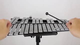 BSL 30 Note Xylophone Foldable Glockenspiel Vibraphone With Bag [upl. by Jezabelle]