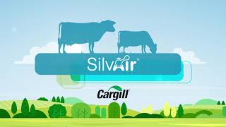 Reducing methane emissions in Dairy with SilvAir® [upl. by Norok109]