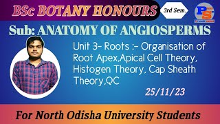 Roots Organization of Root Apex Apical Cell Theory Histogen Theory Cap Sheath Theory QC [upl. by Ellerahs]