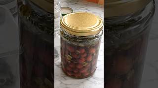 How to Make Homemade Cornelian Cherry Olives fermentation olives [upl. by Aneekat]