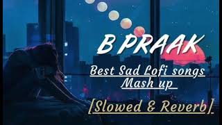 B Praak Sad Song [upl. by Ube]