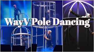 WayV Pole Dancing to Love Talk [upl. by Inor611]