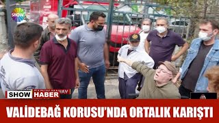 Validebağ Korusunda ortalık karıştı [upl. by Jody]