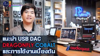 หมีโอแนะนำ DAC Audioquest Dragonfly Cobalt และวิธีการใช้งานเบื้องต้น [upl. by Assilat]