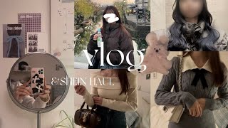 【vlog】SHEINで小物アウターバッグなどなど15点購入♥️  約2ヶ月ぶりの美容院💇🏻‍♀️初めてのモール人形作り！♡ [upl. by Rozalie]