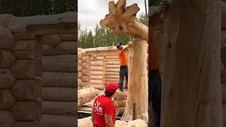 Amazing wood house😳😳 shortfeed construction diy [upl. by Areivax]