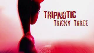 Tripnotic  Tricky Three Djaikovski Remix [upl. by Elonore]