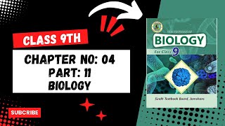 cell size and shape as they relate to surface area to volume ratio chapter no 4 class 9  biology [upl. by Hsetirp]