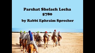 Rav Sprecher 20200607 Parshat Shelach Lecha 5780 [upl. by Ennayelhsa42]