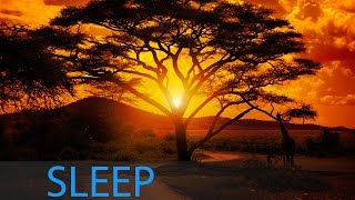 8 Hour Delta Waves Sleep Music Relaxing Music Calming Music Soothing Music Soft Music ☯346 [upl. by Leahcimnoj123]