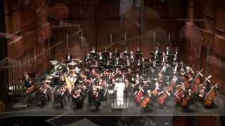 Adagio for Strings  Samuel Barber Theme from quotPlatoonquot [upl. by Engapmahc]