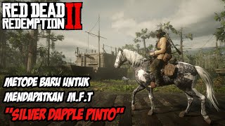 RDR2  TIPS RDR2  METODE BARU MENDAPATKAN MISSOURI FOX TROTTER [upl. by Dorej]