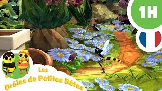 DRÔLES DE PETITES BÊTES  1 Heure  Compilation 02 [upl. by Ayvid900]