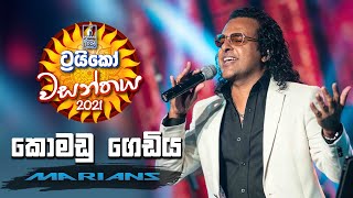 Komadu Gediya  කොමඩු ගෙඩිය   Trico වසන්තය with MARIANS [upl. by Ddahc]