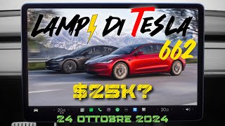 Si farà la Tesla da 25K HW3 vs HW4 Palo Alto per FSD 7 milioni di Tesla⚡️Lampi di Tesla 662 [upl. by Yleme968]