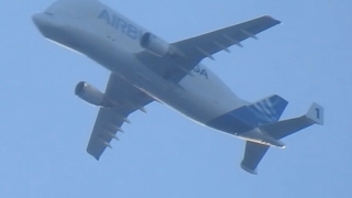 Nikon P900 Zooming In On Planes [upl. by Poliard]