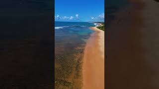 Praia de Guarajuba  Camaçari  Bahia catamaran veleiro youtubeshort sailing boating sailing [upl. by Buckden363]