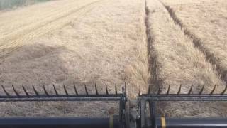 Harvest 2017 Day 3 [upl. by Dewey]