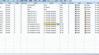 Reliability test Compute Cronbachs alpha using SPSS2023 [upl. by Aynot]