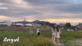 Exploring Koreas Charming Traditional Streets Insadong Market [upl. by Loats]