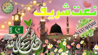 Naat Sharif  Idreesia Naat Sharif  Top Naats  Idreesia 381  Idreesia Naat  Urdu Naat  Multan [upl. by Aivonas]