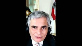 maschek  Bundeskanzler Faymann showyourfacechallenge [upl. by Yleme]