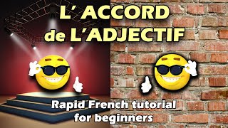 Laccord de ladjectif  Rapid tutorial  Learn easy French for beginners [upl. by Rush]