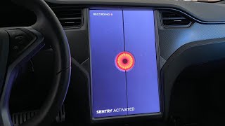 Tesla Sentry Mode LIVE DEMO [upl. by Yelsiap]