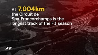 2017 Belgian Grand Prix  F1 Fast Facts [upl. by Erbas]